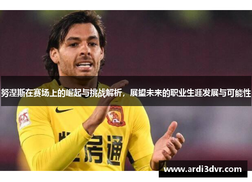 努涅斯在赛场上的崛起与挑战解析，展望未来的职业生涯发展与可能性