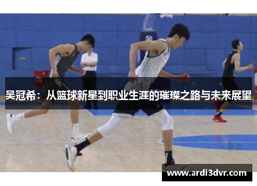 吴冠希：从篮球新星到职业生涯的璀璨之路与未来展望